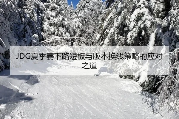 xia-ji-sai-xia-lu-duan-ban-yu-ban-ben-huan-xian-ce-lve-de-ying-dui-zhi-dao-2-731.jpg