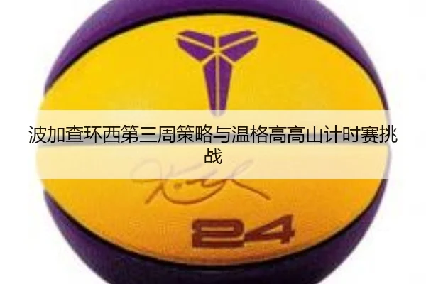 bo-jia-cha-huan-xi-di-san-zhou-ce-lve-yu-wen-ge-gao-gao-shan-ji-shi-sai-tiao-zhan-2-367.jpg
