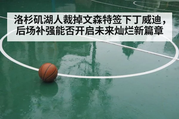 洛杉矶湖人裁掉文森特签下丁威迪，后场补强能否开启未来灿烂新篇章